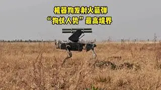 The robotic dog fires a rocket-propelled projectile,