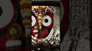 shree jagannath astakam|New Jagannath Status|Odia Song|jagannath bhajan#shorts#trending