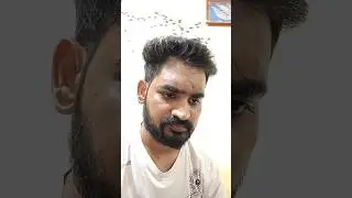 Old song short cover #hemantkumarsongs #oldisgoldsongs #shortcoversongs