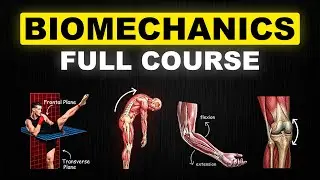 Introduction to Combat Sports Biomechanics Course [FREE]