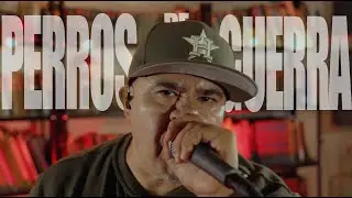 Perros de Guerra -  Live Session