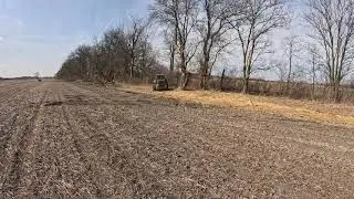 Tree Line Clean Up