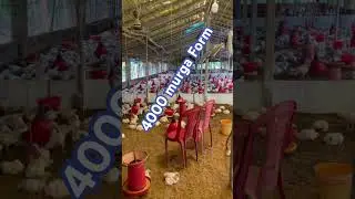 4000 murga for Suguna Limited company agreement￼ poultry form ￼