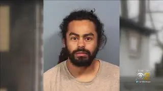 Charges Filed In Kennel Fire