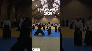 Reposted &bull; @gregaikido SHIZENGEIKO 2025