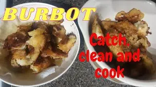 Burbot, Maria, eelpout, lawyer, ling cod  CATCH, CLEAN and COOK in a homemade pancake batter!