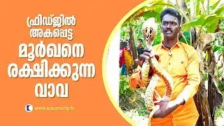 OMG! Vava rescues a Cobra caught in a fridge | Snakemaster | Latest Epiosode