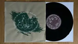 Teeth Of Mammals / Narwhal / Petethepiratesquid / Kias Fansuri &ndash; Circle Of Friends Split 10