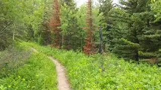 Belly River Trail section in Glacier, NP