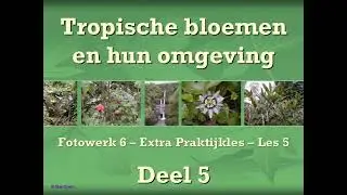 080421 - Cursus - TK - Praktijkles - Les 5 - Tropische bloemen en hun omgeving