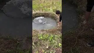 Fish catching technique 🎣✅ #fishing #fishingtechniques #catchfishtechnique #shorts ✅