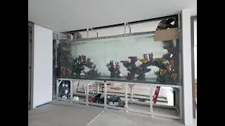 Custom theming makes an aquarium stand out.