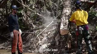 U.S. Forest Service helps clear out roads in Puerto Rico