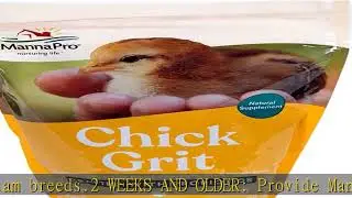 Manna Pro Chick Grit | Digestive Supplement for Young Poultry and Bantam Breed | Probiotics to Supp
