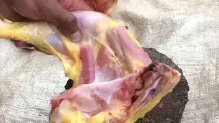 chicken cutting style in village&rsquo;s of Nepal🇳🇵