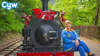 Dreigiau Cadi - Cyfres Newydd ar Cywtiwb a BBC iPlayer