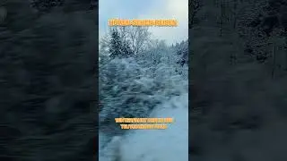 Durch den verschneiten Teutoburger Wald #podcast #podcastclips #automobile #reisen #winter #schnee