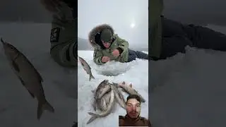 #fishing #carpfishing #cooking #trout #outdoors #food #surajroxfunnyvibeo