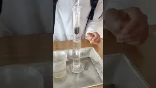 specific gravity test of urine