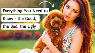 Poodle 101 - A Comprehensive Guide & Manual of the Breed