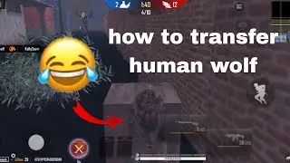 how to transfer human wolf in raider six new glitch 🤔