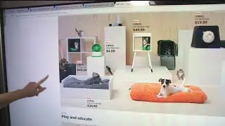 What's Trending: Pet Furniture