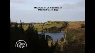 Return of Wild Friday 14th February 2025 #canon90d #february14th #wildlifephotography #naturewalk