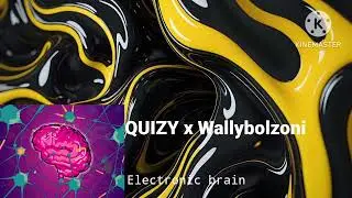 QUIZY x Wallybolzoni  -  Electronic brain