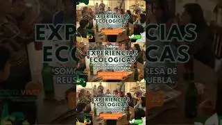 EXPERIENCIA ECOLOGICA Y REUSO CREATIVO ♻️