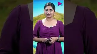 പാമ്പ് ദ്വീപുമായി ബന്ധപ്പെട്ട അ*പകടങ്ങളെ കുറിച്ച് നിരവധി കഥകള്&zwj; | SNAKE ISLAND | BEYOND BELIEF