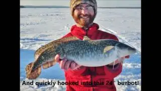 Walleye, Burbot, Yellow Perch Ice FIshing