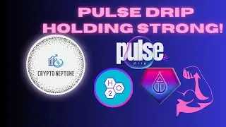 Pulse Drip Holding Strong!