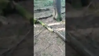 Dechmont Woods UFO - a case of mistaken identity?