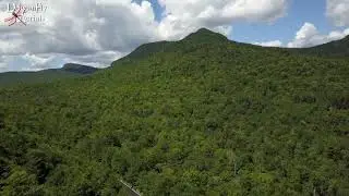 Bear Notch Summer of 2020 Bartlett NH