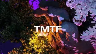PRZYŁU - TMTF