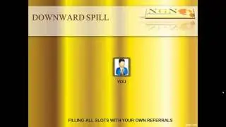 NGN INTERNATIONAL NEW MARKETING PLAN