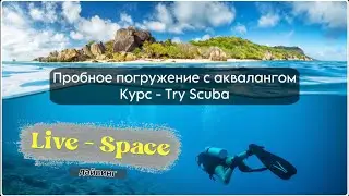 Пробное погружение - курс подготовки. Try Scuba - Training course