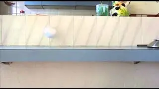 Foam Ball Animation Reference