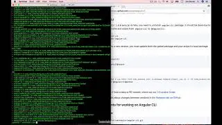 How to Update Angular CLI