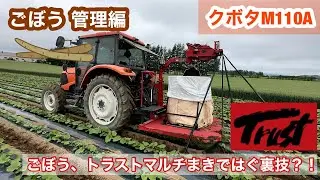 【トラスト】マルチまきで【ごぼう】のマルチはこうやってはぎます？！マルチまきの大革命！！めむろごぼう