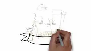 Custom Website Design & Videos