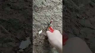 Maliit na kwitis | Small fireworks| diy #short #fireworks #firecracker