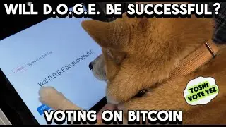 Voting on Bitcoin Blockchain and how it works - ChainBytes