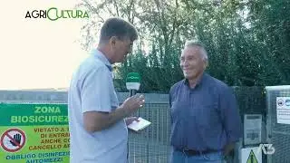 AGRICULTURA  | 22/09/2024