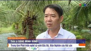M&ocirc; h&igrave;nh sản xuất giống v&agrave; nu&ocirc;i thương phẩm c&aacute; bớp (Bostrichthys sinensis) tại Hải Ph&ograve;ng