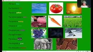 English - 204 - Emerge - Clothes and Colors