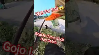Gojo Is Come Back Dog Catch #dog #dogwithpublicsafety #city #ytviral #gojo