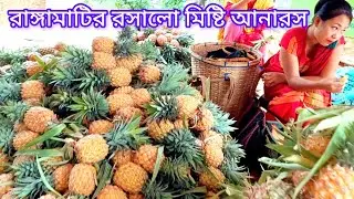 রাঙ্গামাটির বিখ্যাত আনারসের বাজার। আনারসের বাম্পার ফলন পাহাড়ি অঞ্চলে।pineapple heart Rangamati.