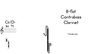 Clarinet Family (Part 1)