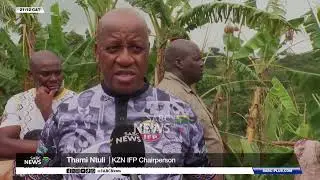 KZN By-Elections | IFP leads door-to door campaign in Umzumbe